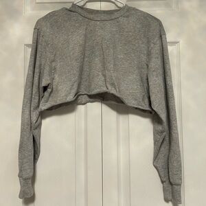 TNA Gray Long Sleeve Crop Top